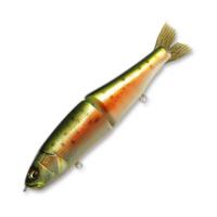 Воблер Megabass XS Limberlamber RT