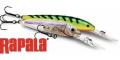 Rapala Down Deep Husky Jerk