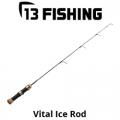 Vital Ice Rod