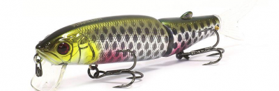 Воблер Jackall Magallon SP roach