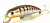 Воблер Fishycat Tigercub 205F X05