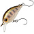 Воблер ZipBaits Hickory SSR 851