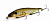 Воблер Megabass Ito-Shiner glx galaxy shiner