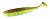 Keitech Easy Shiner 4.5 401T Green Pumpkin
