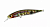 Воблер DUO Realis Jerkbait 85SP ADA3058