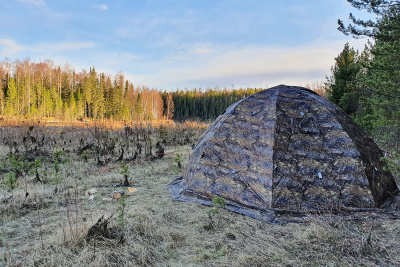 Универсальная палатка Берег УП-7 (500х500/230 см)