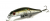 Воблер Zipbaits Rigge 70SP 510R
