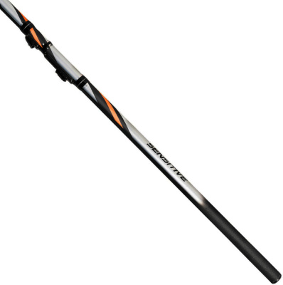 Болонская удочка с кольцами DAYO Thunder 10-30gr 5m