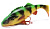 Приманка Savage Gear 4D Perch Shad Slow Sink 20cm 100gr 02-Firetiger