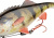 Приманка Savage Gear 4D Perch Shad Slow Sink 20cm 100gr 01-Perch